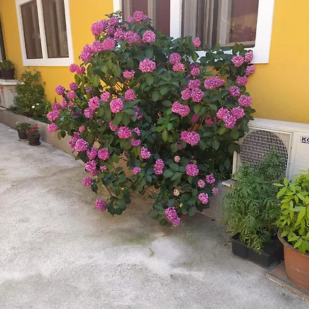 In Kala